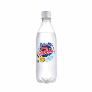 12 BOTELLAS GASEOSA GASHHH pascual sin azucares 500 ml