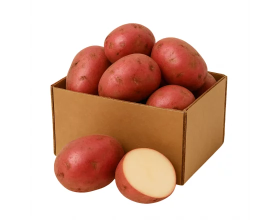 PATATAS ROJAS NUEVAS
