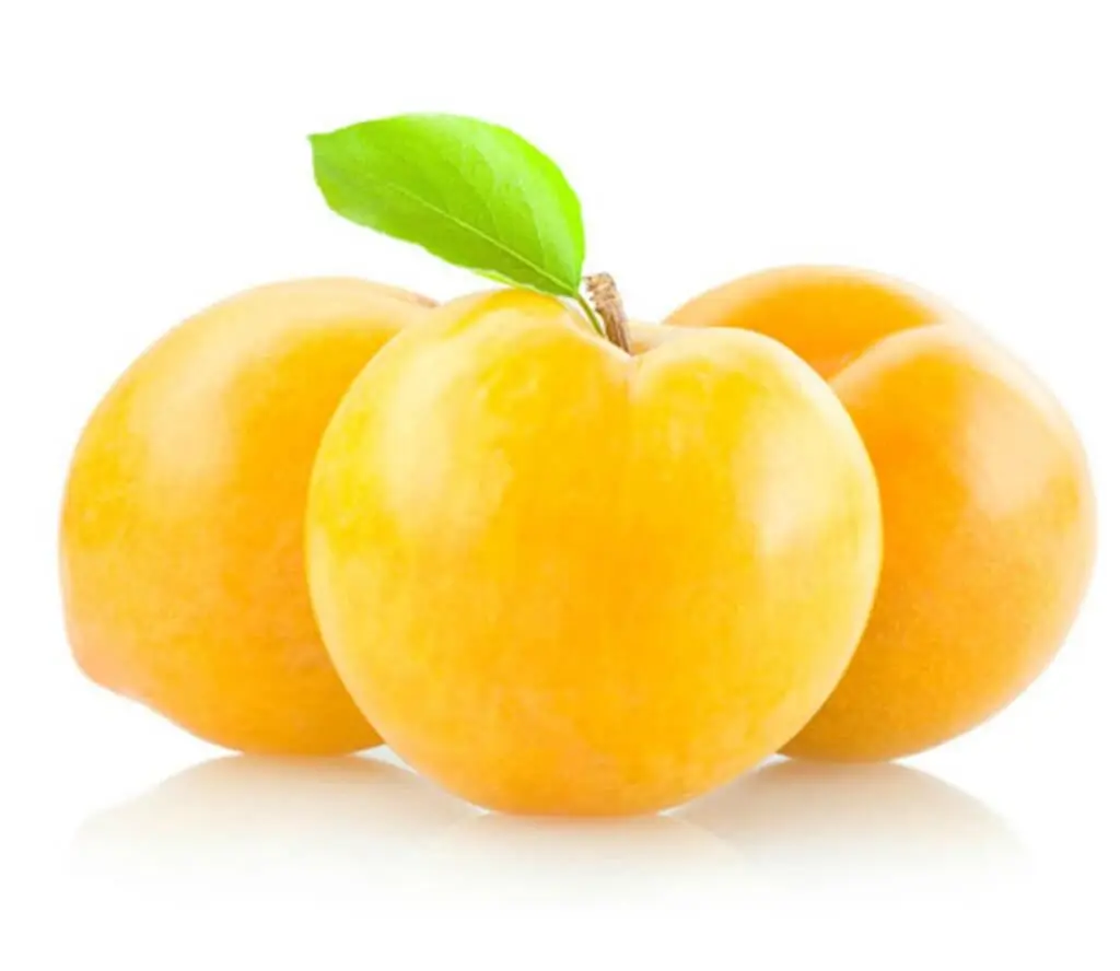 CIRUELA BLANCA