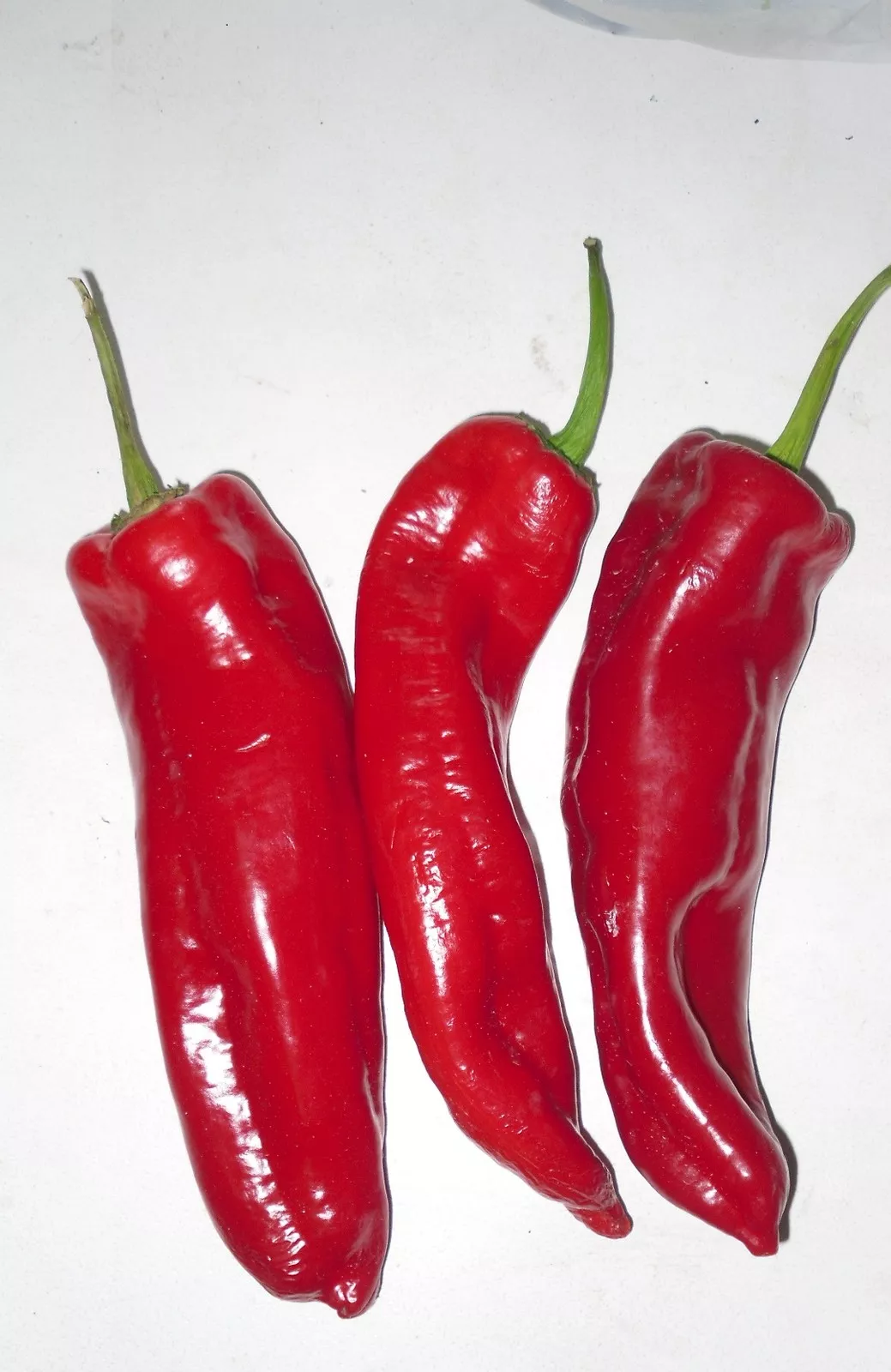 PIMIENTO ITALIANO ROJO
