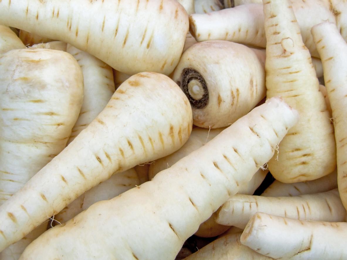 Parsnips