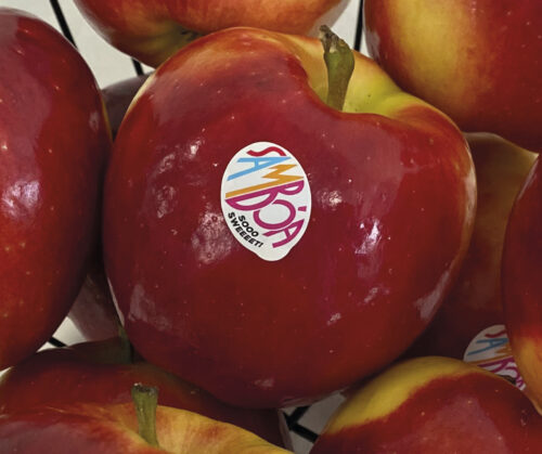 MANZANA SAMBOA