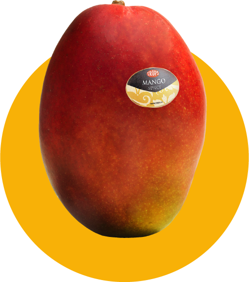 MANGO NACIONAL TROP